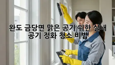 완도 금당면, 맑은 공기 위한 실내 공기 정화 청소 비법 🏡✨