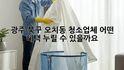 광주 북구 오치동 청소업체, 어떤 혜택 누릴 수 있을까요?